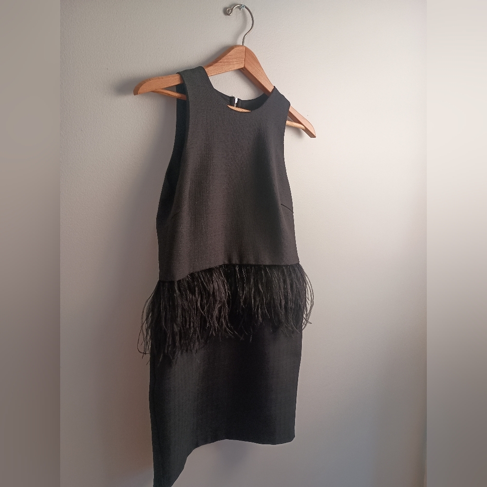 Endless Rose- Black Sleeveless Dress w/ Feather Peplum- Size M